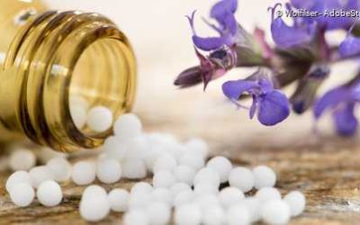 online Weiterbildungsangebot „Homöopathie in der Geburtshilfe“ bzw. „Homöopathie für Hebammen vom Deutsche Zentralverein homöopathischer Ärzte (DZVhÄ) ab November 2025