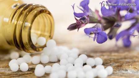 online Weiterbildungsangebot „Homöopathie in der Geburtshilfe“ bzw. „Homöopathie für Hebammen vom Deutsche Zentralverein homöopathischer Ärzte (DZVhÄ) ab November 2025