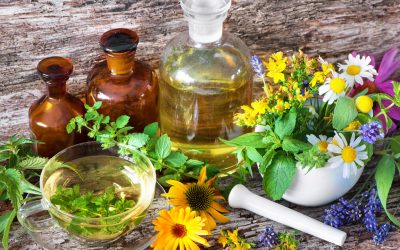 FAB Angebot in Zusammenarbeit mit der DHU: online Vortrag zu „Homöopathie in der Hebammenarbeit“- 08. Oktober 2026, 18-20 Uhr